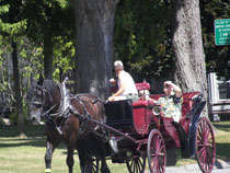 Canal Days Photo: Image